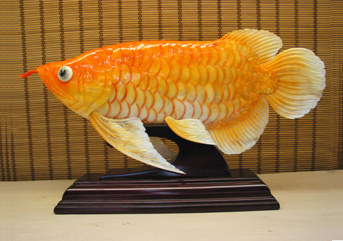 金龍魚【貝雕】